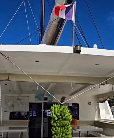 Catlante 720 | Eye Candy