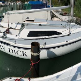 Regina 30 | Moby Dick