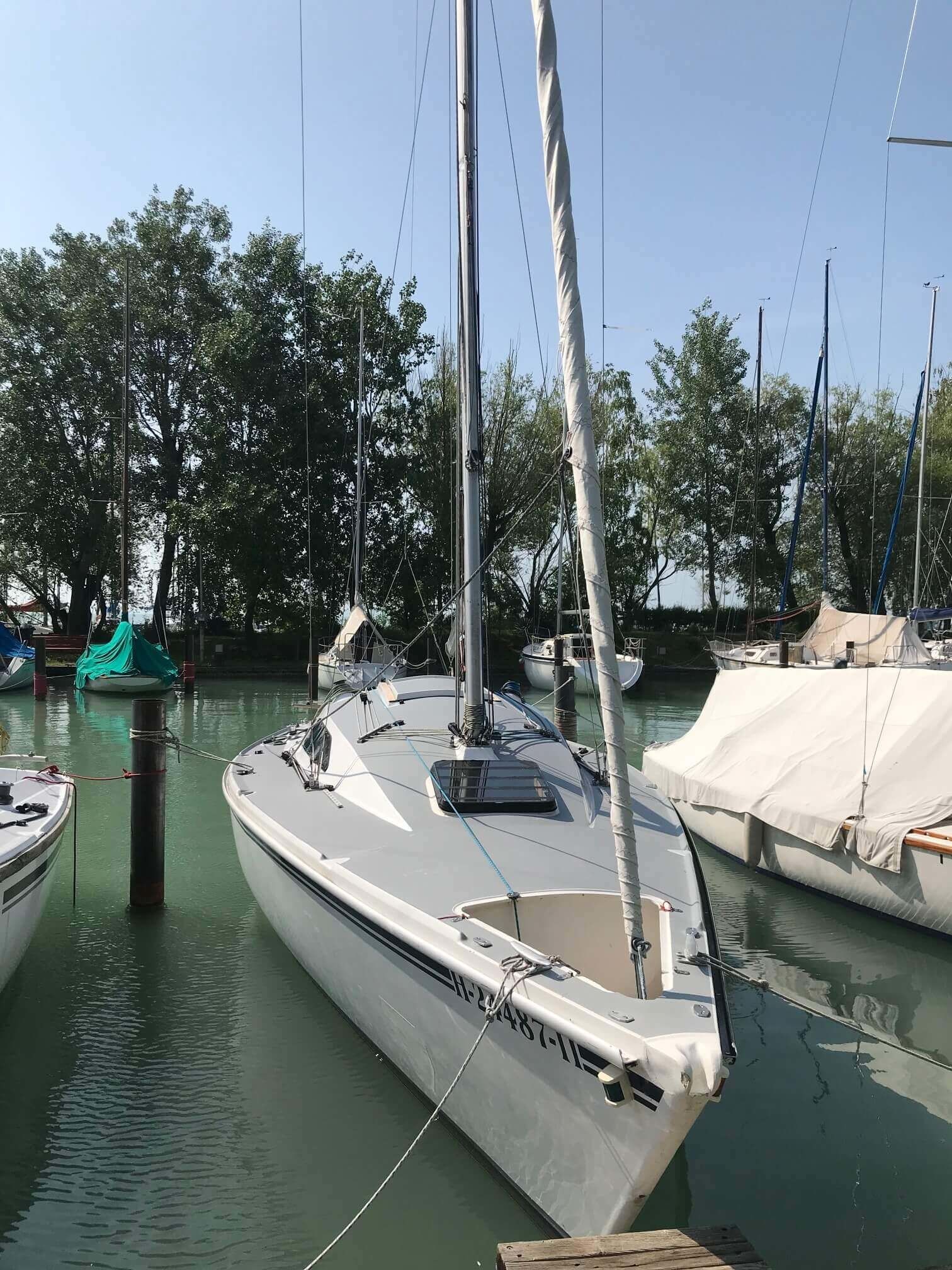 Regina 30 | Moby Dick