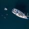 Beneteau Cyclades 50 | Zorba