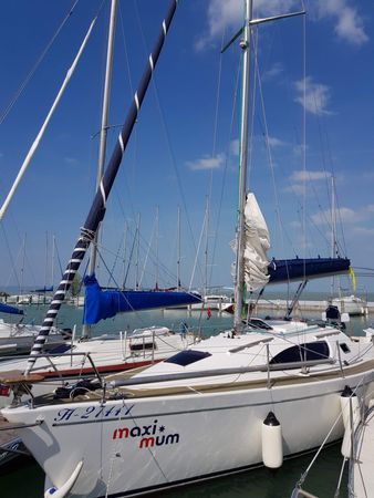 Balaton 295 | Maximum