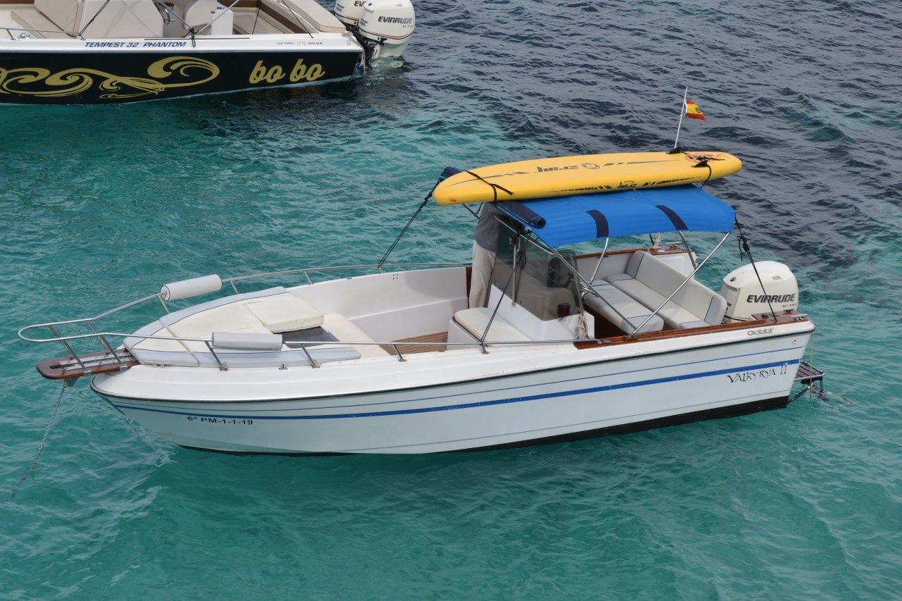 Gobbi 23 | Valkyrya 2