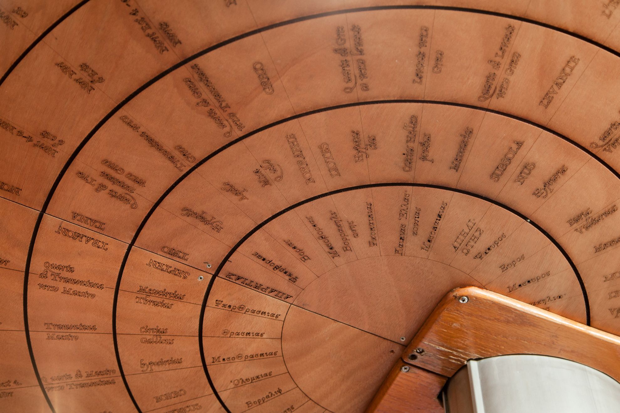 Fortuna 40 | Sara of the Seas