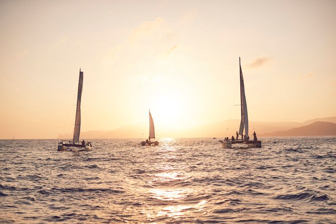 Custom Built Eco Catamaran | Dragonfly