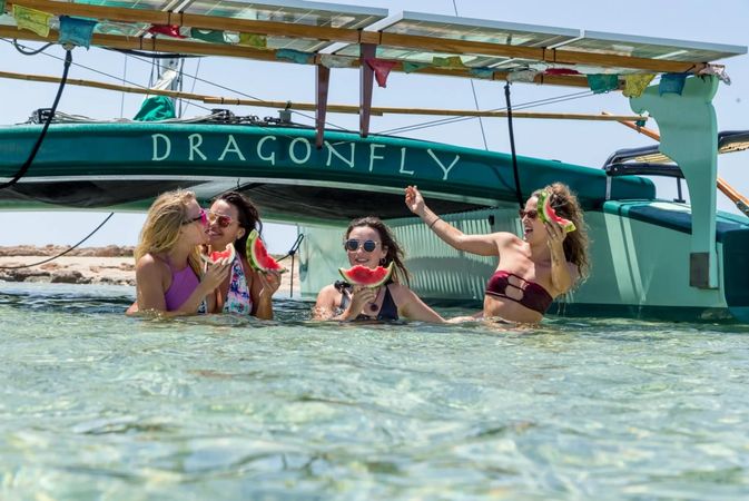 Custom Built Eco Catamaran | Dragonfly
