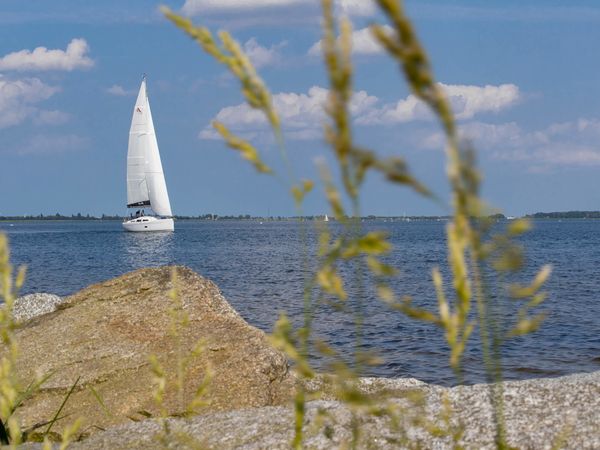 Hanse 348 | Mola 26-2 Rostock