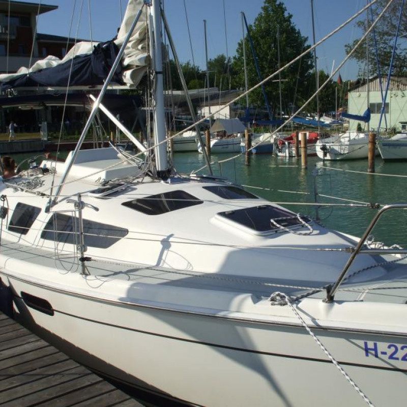 Hunter 326 | Polar Bear