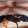 Bavaria Cruiser 34 | Mola 21-2 R Breege