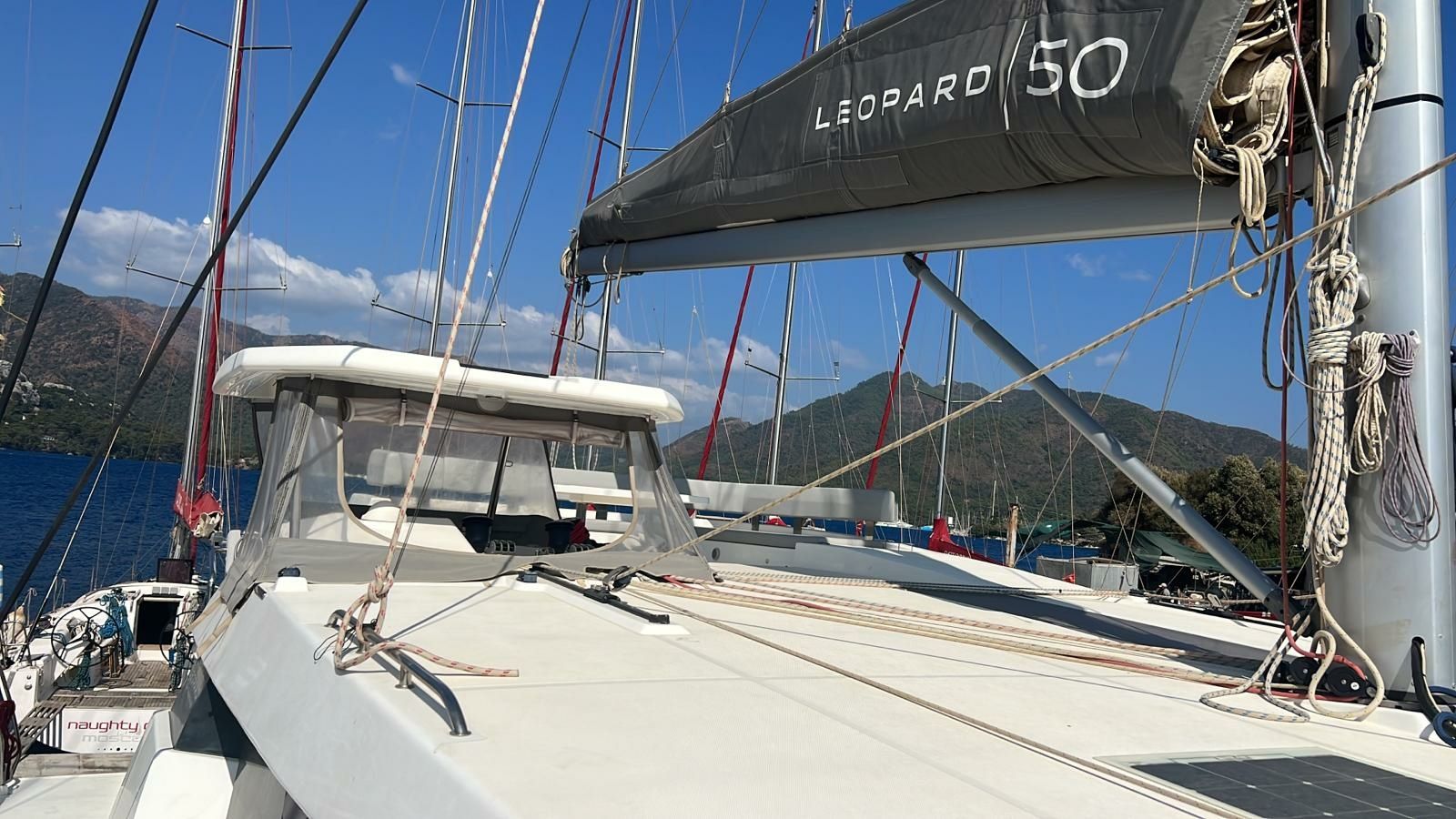 Leopard 50 | Hakuna Matata