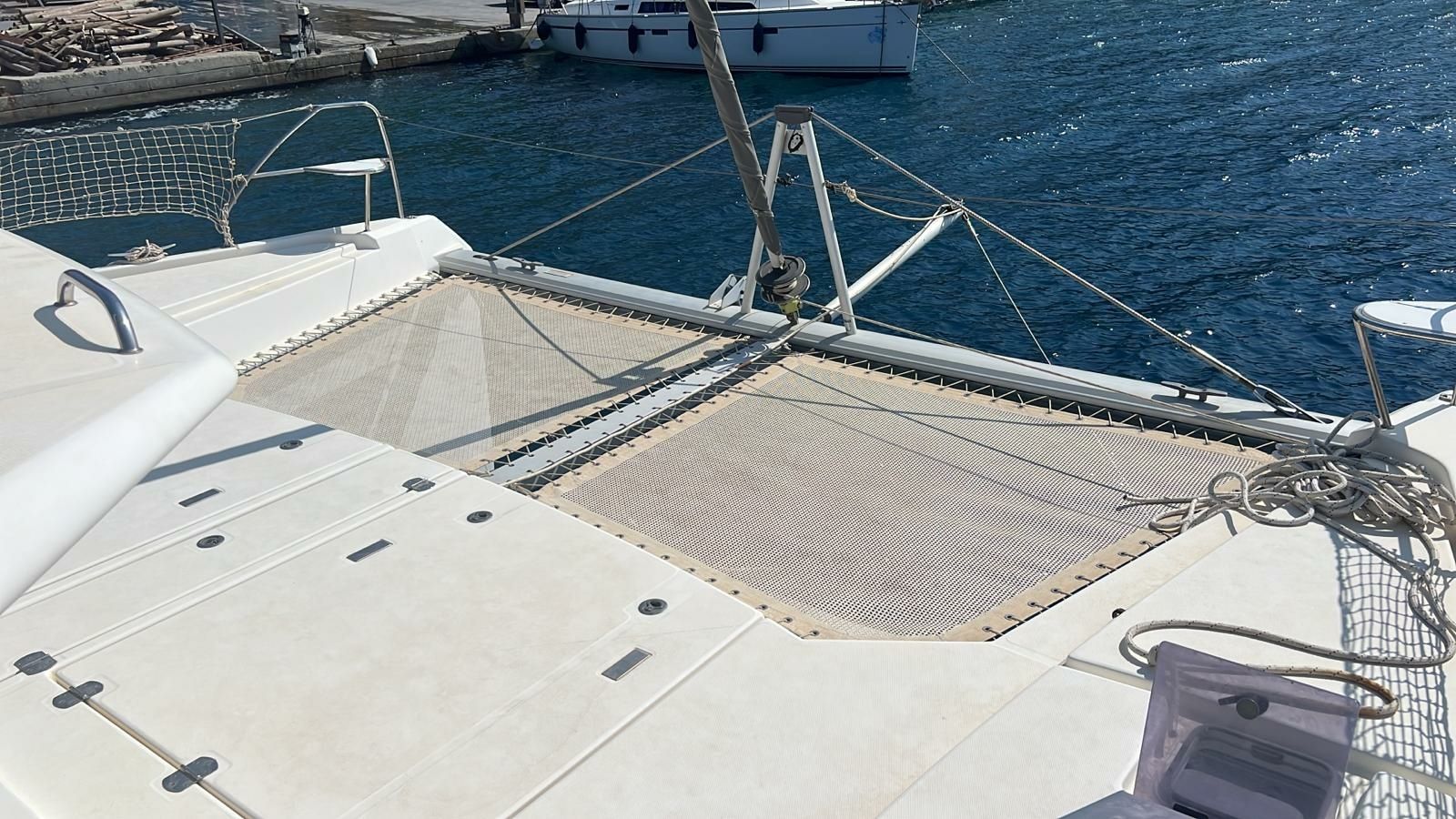 Leopard 50 | Hakuna Matata