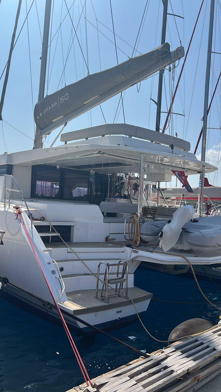 Leopard 50 | Hakuna Matata