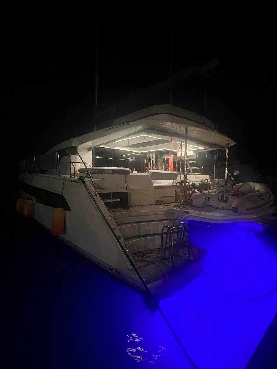 Leopard 50 | Hakuna Matata