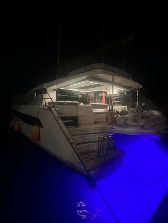Leopard 50 | Hakuna Matata