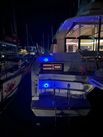 Leopard 50 | Hakuna Matata