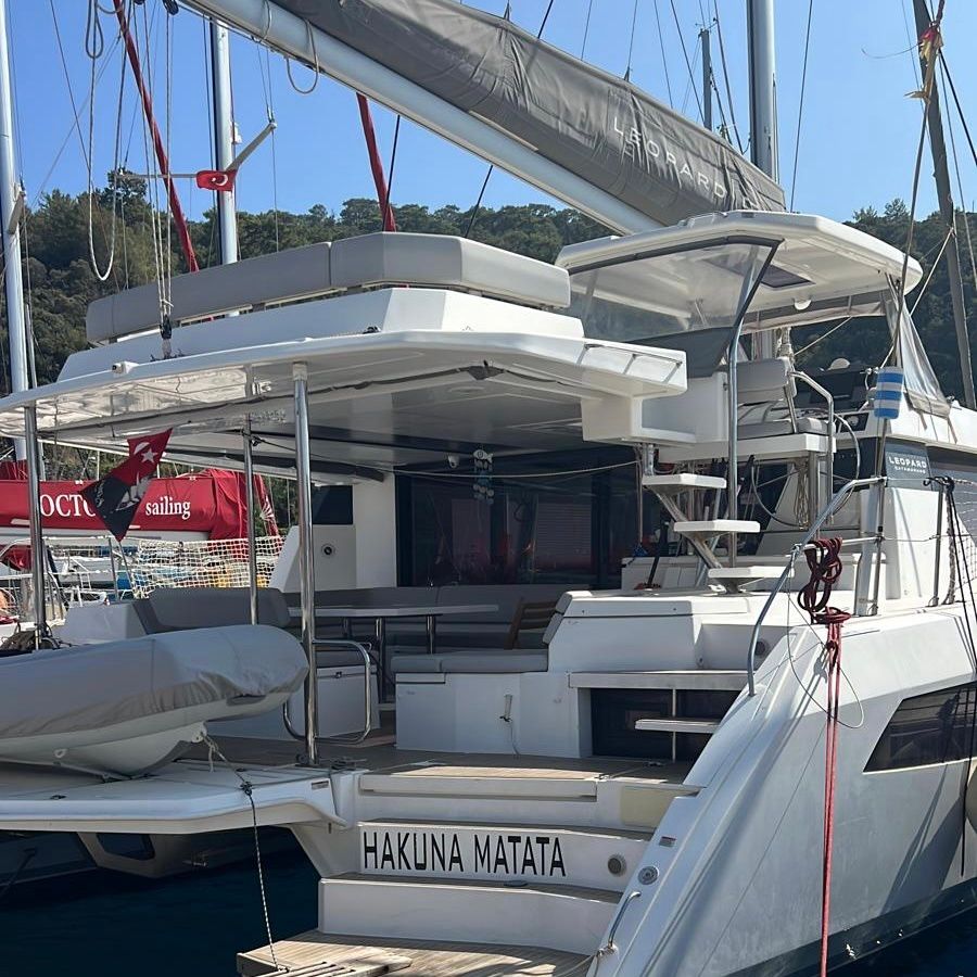 Leopard 50 | Hakuna Matata
