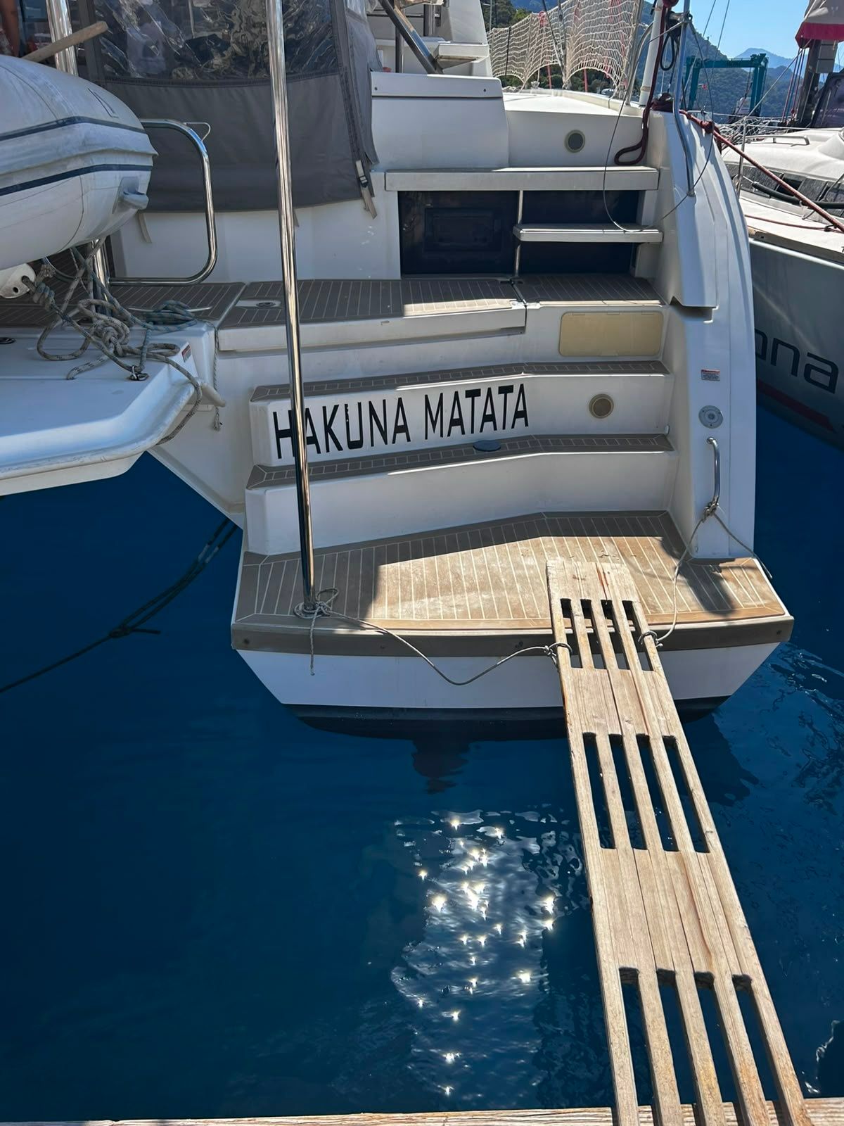 Leopard 50 | Hakuna Matata