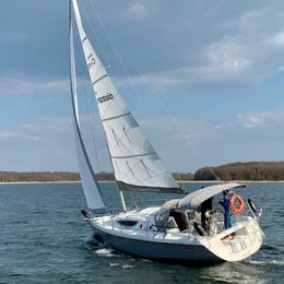 Northman Maxus 33 | Roma