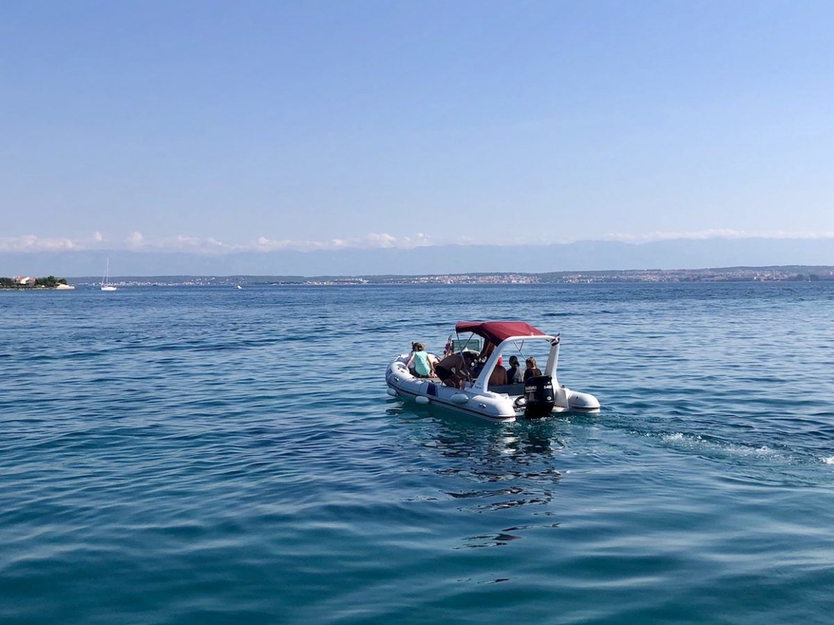 Tiger Marine 650 | 17