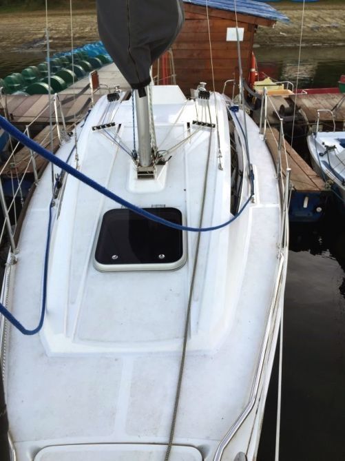 Northman Maxus 24 | Evo