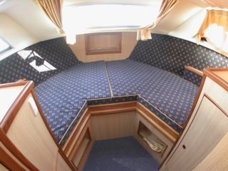 Waterford 39 | Shannon 3