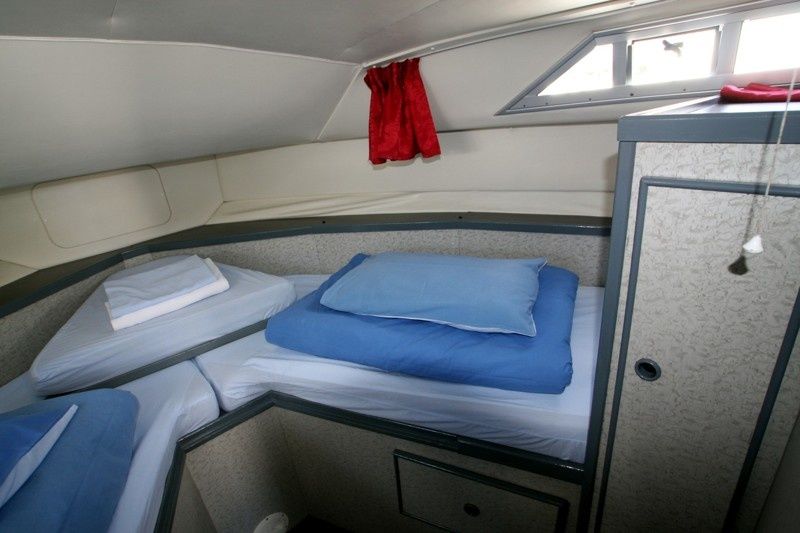 Wave Princess 31 | Shannon 2
