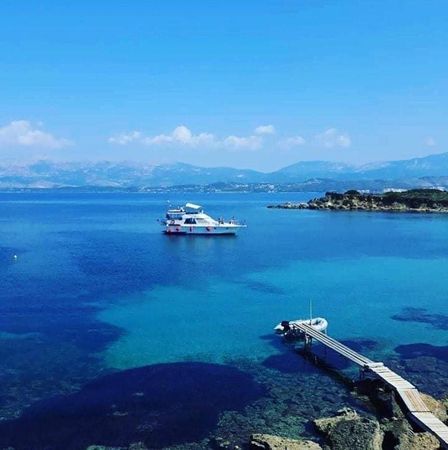 President 46 | Gloria