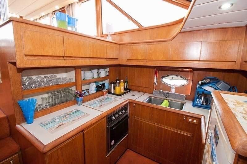 President 46 | Gloria