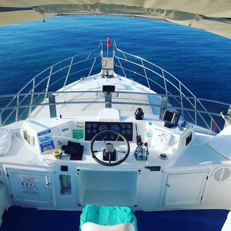 President 46 | Gloria