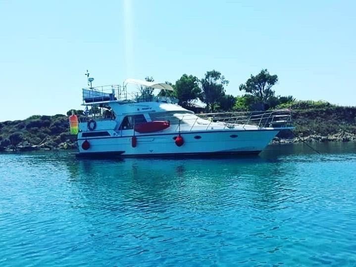 President 46 | Gloria