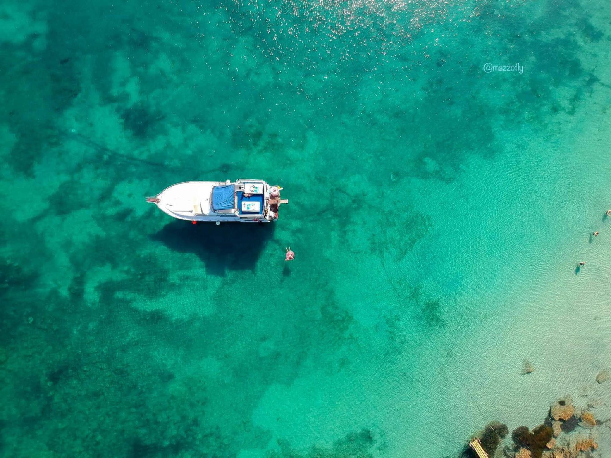 President 46 | Gloria