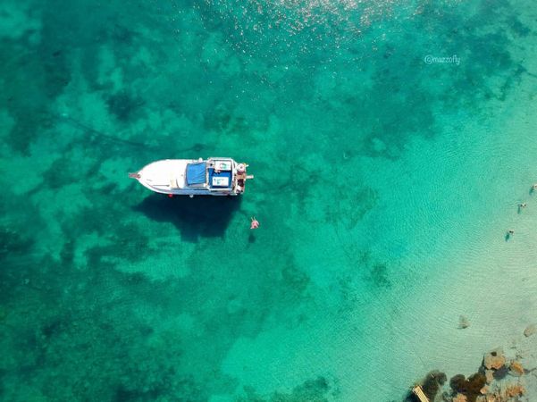 President 46 | Gloria