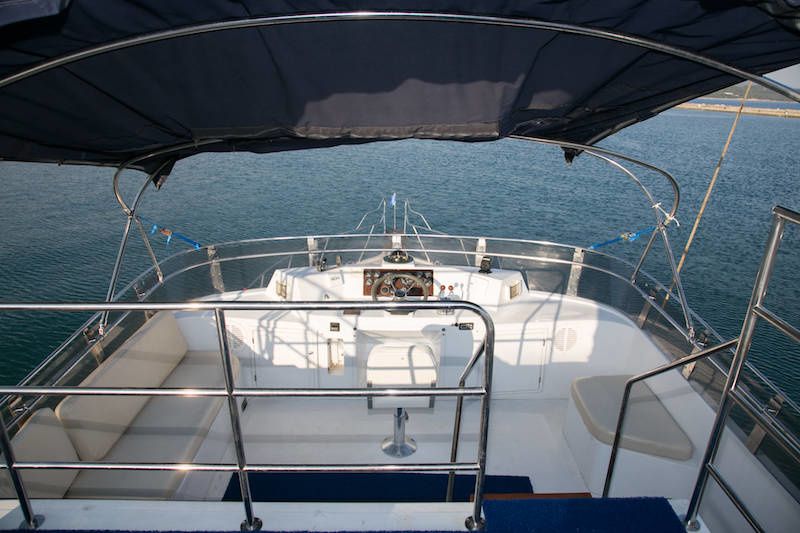 President 46 | Gloria