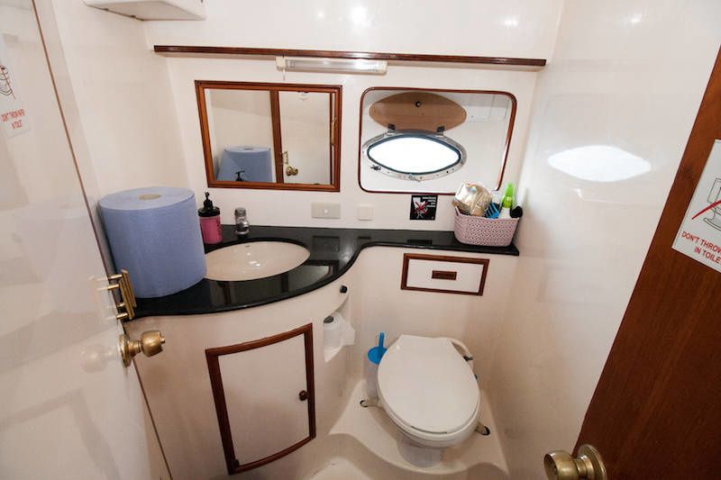 President 46 | Gloria