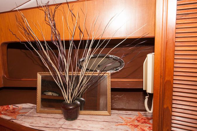 President 46 | Gloria