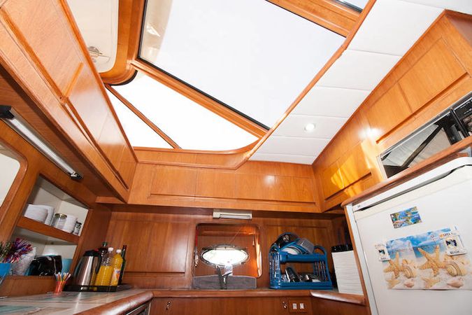 President 46 | Gloria