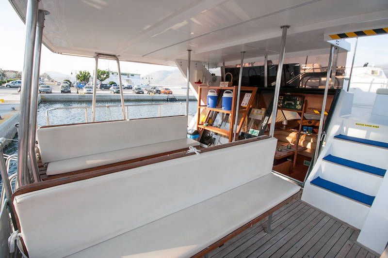 President 46 | Gloria