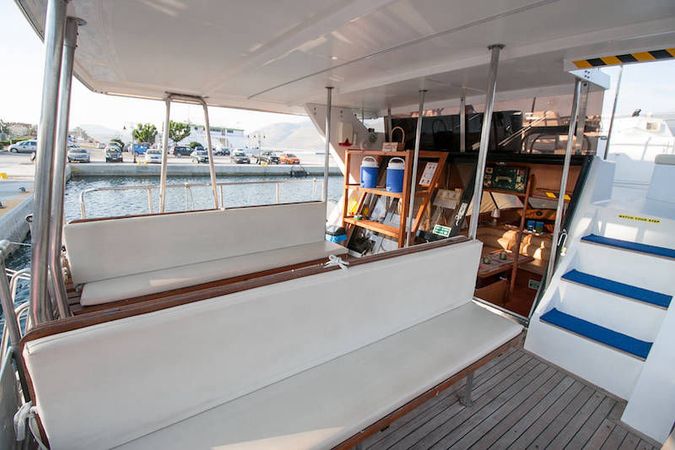 President 46 | Gloria