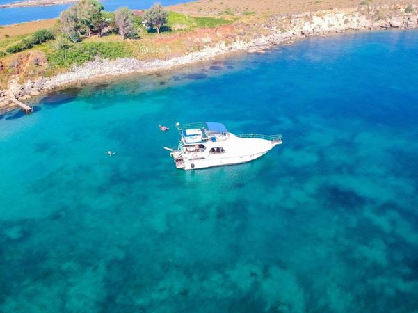 President 46 | Gloria