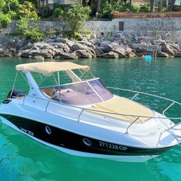 Salpa Laver 23X | 21