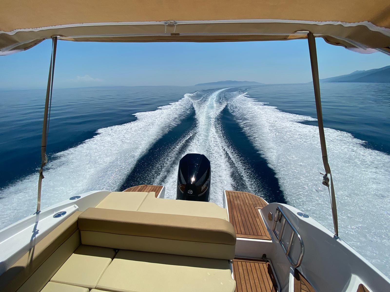 Salpa Laver 23X | 21