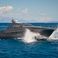 Pershing 50 | Impetuous