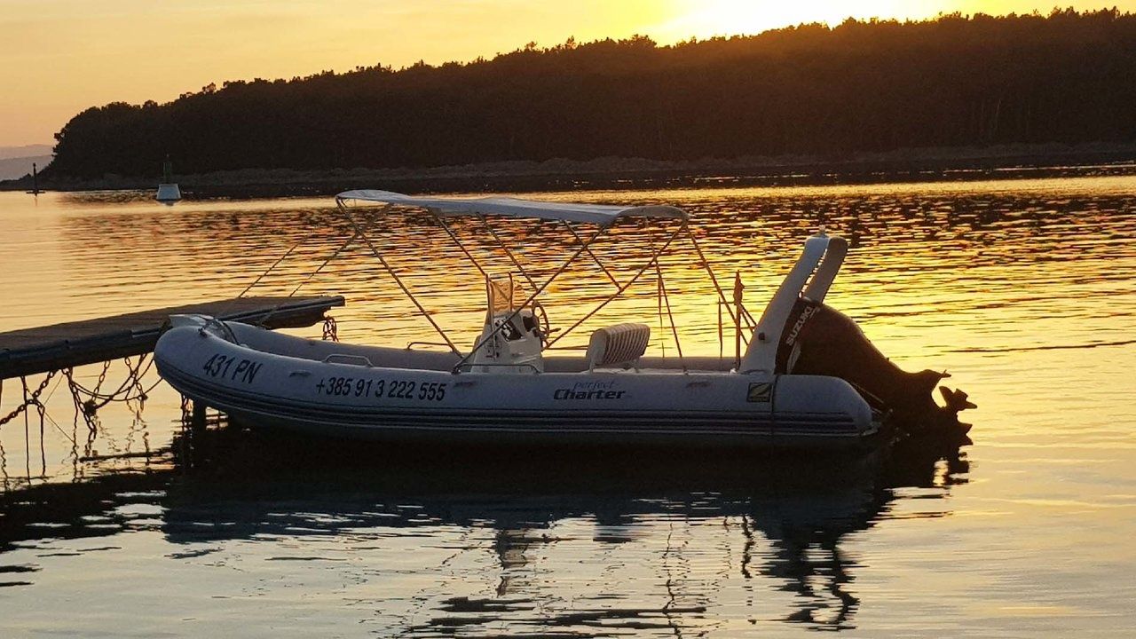 Zodiac Medline 2 | Zodiac