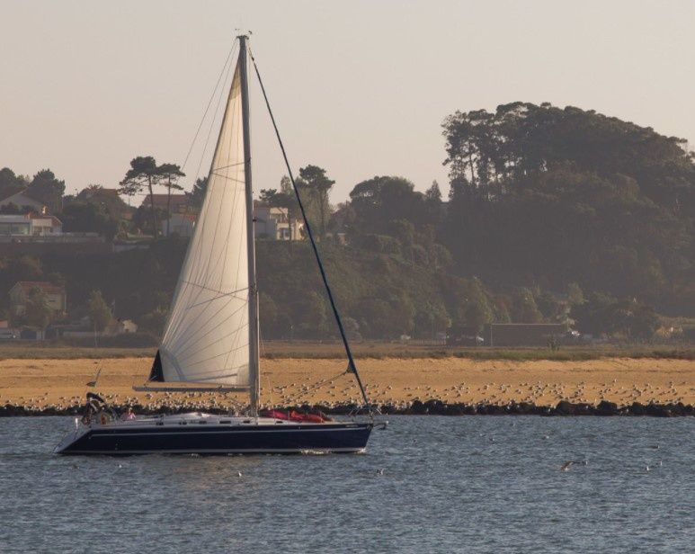 Ocean Yachts 51.2 | Sofia Electra