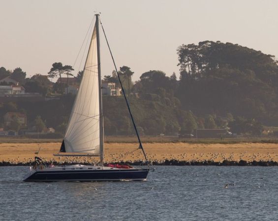 Ocean Yachts 51.2 | Sofia Electra