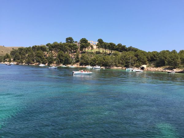 Sea Ray 400 | Endurance