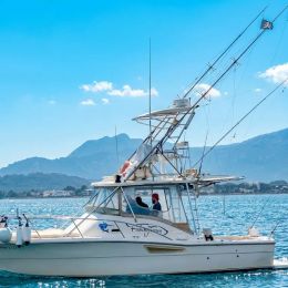 Pursuit Offshore 3000 | Mystic