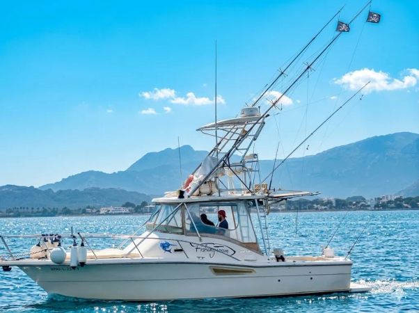 Pursuit Offshore 3000 | Mystic