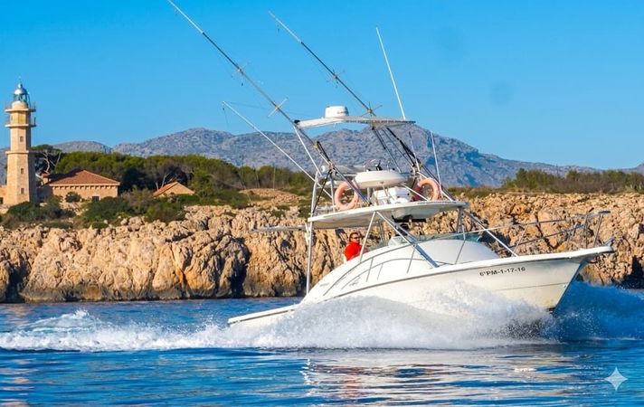 Pursuit Offshore 3000 | Mystic