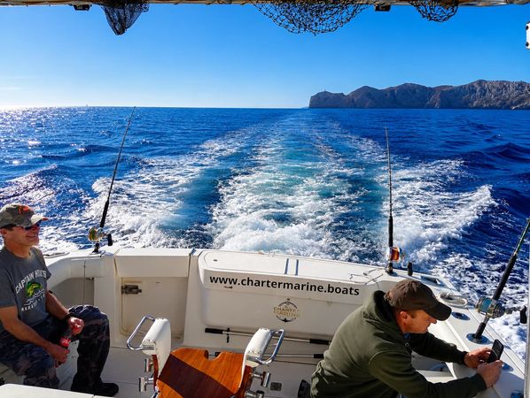 Pursuit Offshore 3000 | Mystic