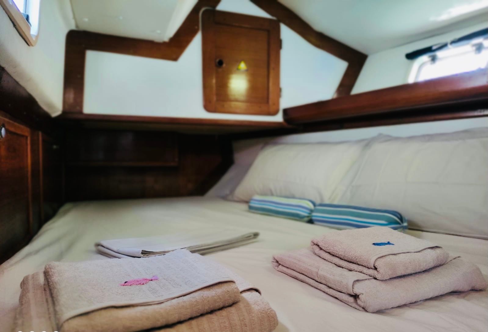 Atlantic 49 | Zemini